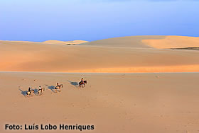 Passeio de Cavalo - Jeri